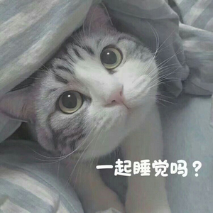毛少逼紧
